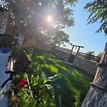 G&a Case de vacanță