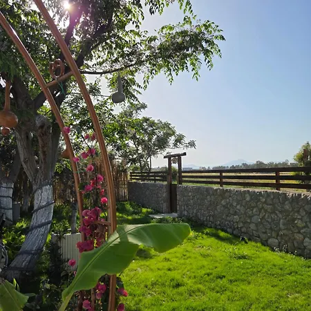 Holiday home G&a